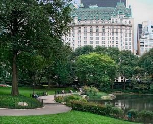 Pictures - beautiful building design - mylusciouslife - Plaza and Central Park.jpg
